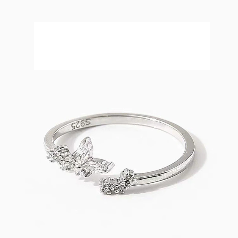 Ċirku Delikat ta' Silvers bi Zirconia Luminusa